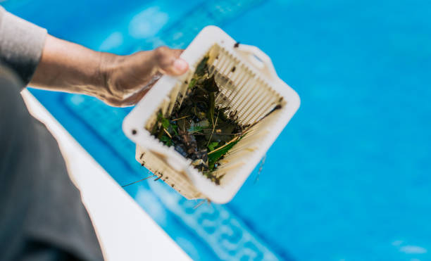 Best Trash Removal Near Me  in Indian Shores, FL